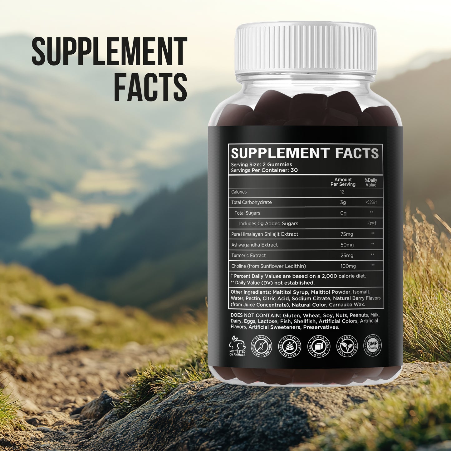 Premium Himalayan Shilajit Supplement
